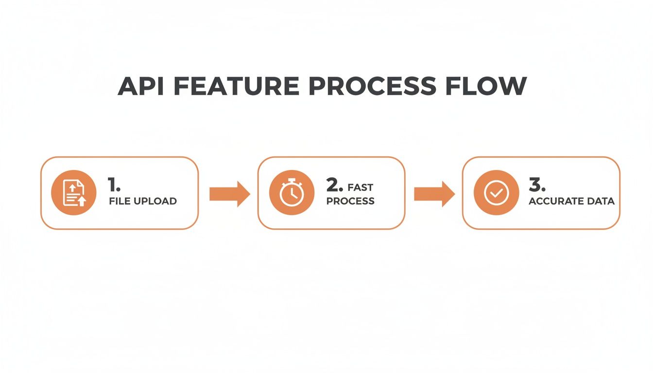 A three-step API feature process flow showing file upload, fast processing, and accurate data.