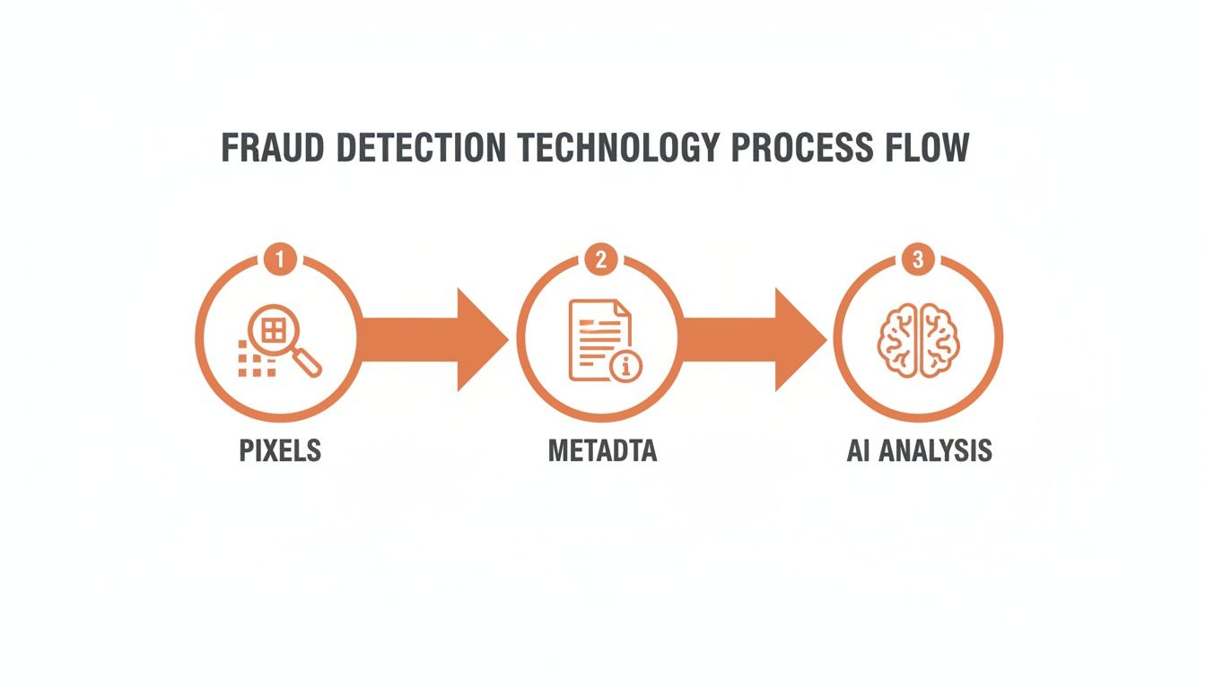 A process flow diagram illustrates fraud detection technology, moving from pixels and metadata to AI analysis.