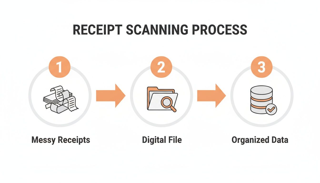 A visual guide illustrating the receipt scanning process: messy physical receipts become digital files, then organized data.